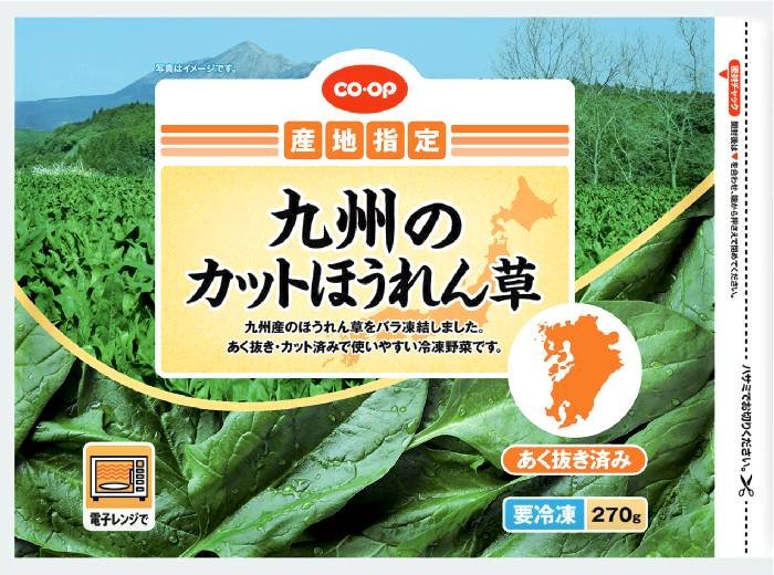 4九州のカットほうれん草画像.jpg
